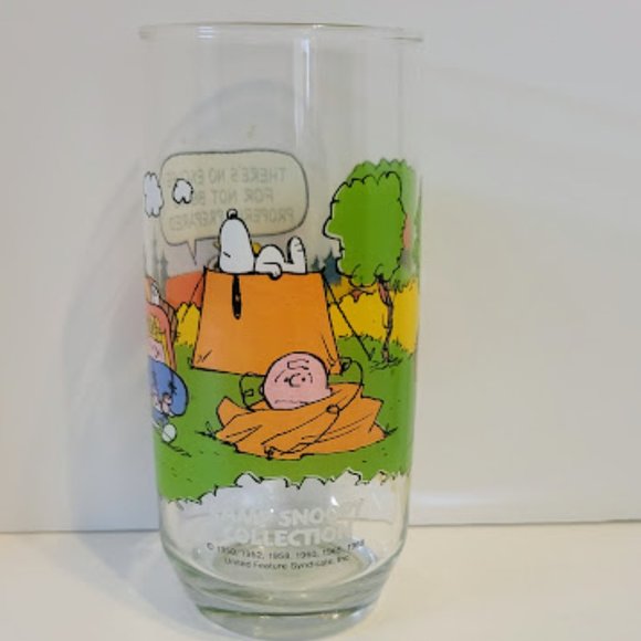 Camp Snoopy Glassware by McDonalds "There's no excuse..." Camping Glass - Picture 1 of 4